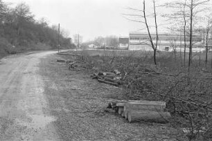 Bau der Umgehungsstraße B 36 Eggenstein/Neureut