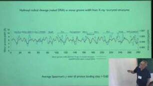 DNA shape – intrinsic or induced?