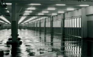 Fischkühlhalle IXa, 1959-1960