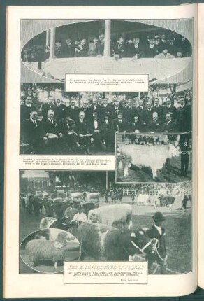 22ª exposición nacional de ganaderia, realizada por la Sociedad Rural de Rosario