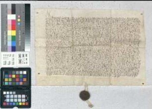 Landgraf Ludwig von Hessen bekennt, daß Raveno von Kalenberg ihm sein Schloß Kalenberg zu Lehen aufgetragen und von ihm zurückerhalten habe.