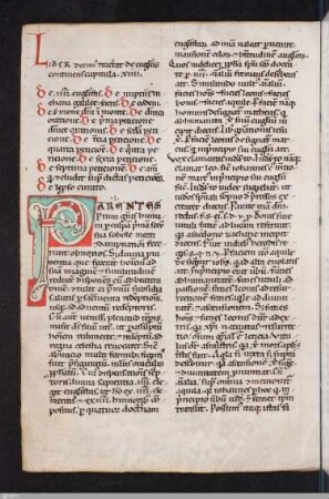 [Richardus de Sancto Victore] : [Allegoriae in Novum Testamentum]