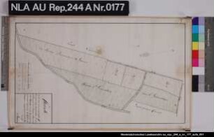 Lage von Kolonatsgrundstücken in MÜNKEBOE Kolorierte Zeichnung von Braun Papier Format 26,8x45,3 M 1:3.270