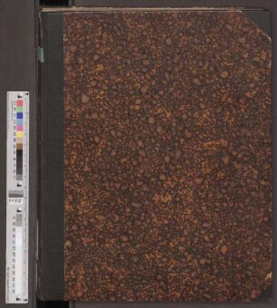 3.1894: Journal of the Maha Bodhi Society