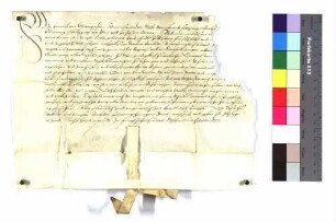 Lehenbrief Propst Heinrichs zu Ellwangen für Hans Schubel über ein Tagwerk Wiese genannt Stegwiese zu Pfahlheim