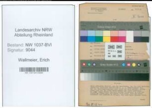 Entnazifizierung Erich Wallmeier , geb. 27.06.1899 (Kaufm.Angestellter)
