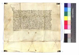 König Wenzel bestätigt der Stadt Esslingen alle ihre Rechte, Freiheit, gute Gewohnheit, Handfesten und Briefe, die sie von römischen Kaisern und Königen hat