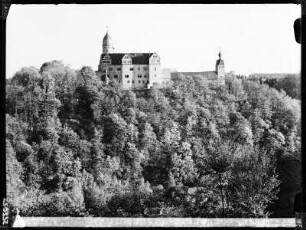 Die Rochsburg (Fernaufnahme)