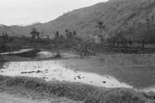 Überschwemmte Sawahs : Bergige, bewaldte Landschaft mit überschwemmten Reisfeldern in der Ebene