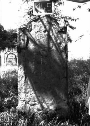Grabstein 145 (Index: 100103441) Material: Sandstein Zustand: stark verwittert, abgeblättert, vollständiger Textverlust Maße HxBxT: 138x59x6 cm Beschreibung: Stele, eingezogener Rundbogenabschluss: Grabstein 145