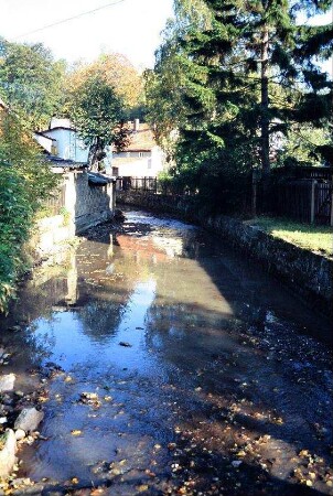 Flusslauf der Zahmen Gera durch den Ort
