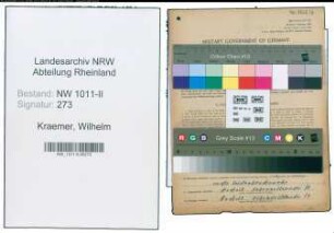 Entnazifizierung Wilhelm Kraemer , geb. 10.04.1909 (Betriebsleiter)