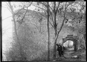 Löwenstein Burgruine Burgmauer mit Toreingang Feldseite