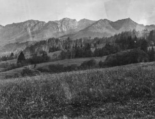 Berglandschaft : Blick über eine Wiese auf einen Wald vor einem Gebirge