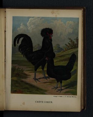 Crève-Coeur.