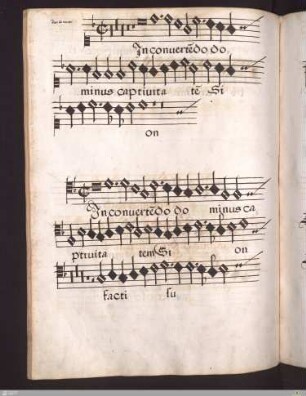 Ivo de Vento : In convertendo dominus