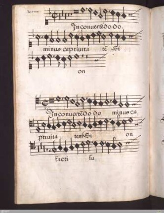 Ivo de Vento : In convertendo dominus