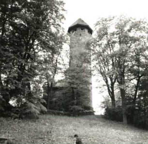 Auerbach. Burg. Ansicht von der Amtsstraße