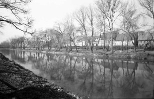 Tuttlingen: Donauufer, Blick stromaufwärts