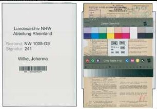 Entnazifizierung Johanna Wilke , geb. 16.03.1900 (Buchhalterin)