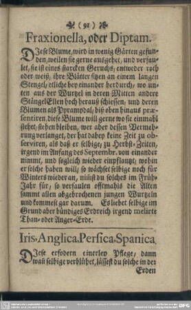 Iris, Anglica, Persica, Spanica
