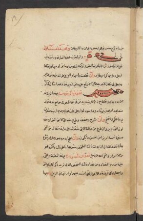 Buchschmuck: f. 19r-19v
