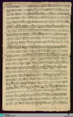 Concertos - Mus. Hs. 979 : fl, vl (2), vla, bc; D; GroF 682