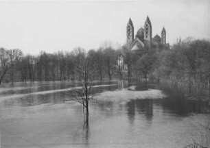 Hochwasser 1955 am Rhein bei Speyer