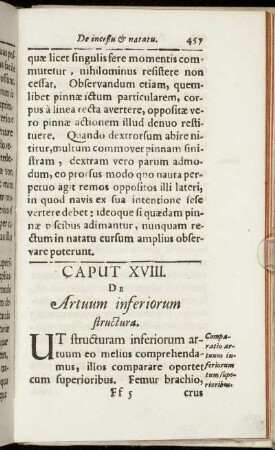 Caput XVIII. De Artuum inferiorum structura.