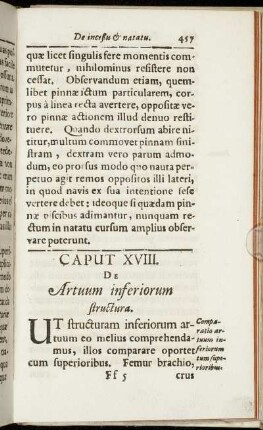 Caput XVIII. De Artuum inferiorum structura.