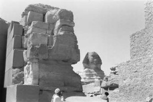 Große Sphinx von Gizeh : Die große Sphinx von Gizeh.