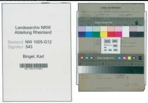Entnazifizierung Karl Bingel , geb. 09.08.1874 (Kommanditist)
