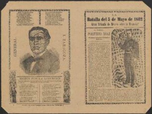 El General Porfirio Diaz : presidente actual de la República Mexicana