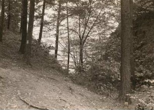 Zschopautal. Wallgraben des Raubschlosses Ringethal