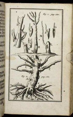Fig. 1. pag. 130. - Fig. 2. pag. 141.