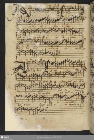 [Anon.:] Alleluia caro mea