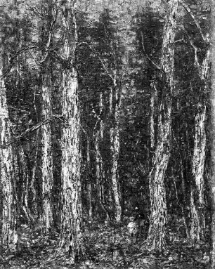 Frau und Kind im Wald