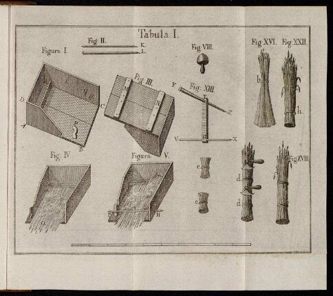 Tabula I. - Tabula III.