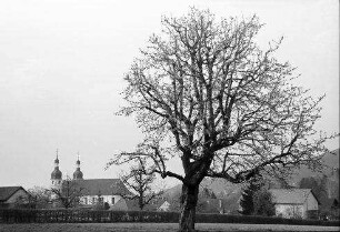Arlesheim: Blick auf die Türme des Domes
