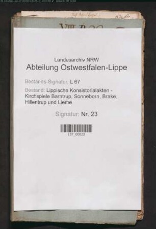 Freie Schweinemast des Pastors