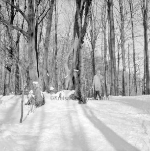 Kneeden: hinten rechts Mann mit Schlittenleine zwischen Bäumen: Winter