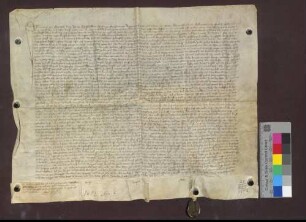 Ritter Konrad von Bärenfels, Ritter Bernhard von Rotberg und Klaus von Baden verpfänden dem Kloster St. Klara zu Kleinbasel den Weinzehnt zu Grenzach und andere Gülten.