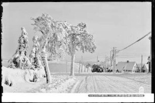 Zinnwald-Georgenfeld, Winter im Erzgebirge, am Berghof Raupennest