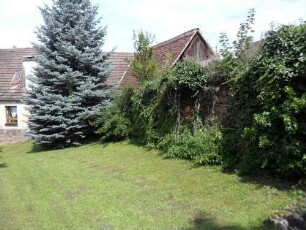 Kirchhof im Osten mit (stark überwachsener) Kirchhofmauer in Übersicht