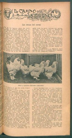 Las reinas del corral : El campo y la chacra