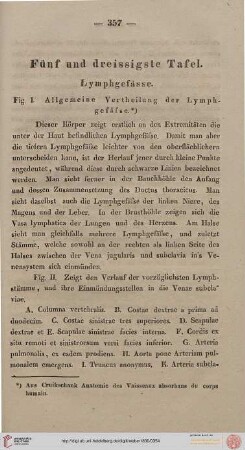 Fünf und dreissigste Tafel [Lymphgefässe]
