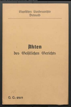 Gießenbier (Geißenbehr) gegen Fincke, Zeugenverhör