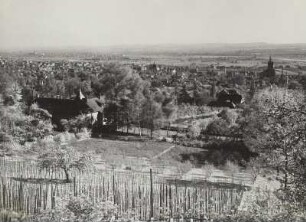 Blick von den Lößnitzhöhen am Spitzhaus über Radebeul und Elbtal auf das westliche Dresden.
