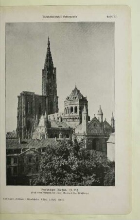 Straßburger Münster