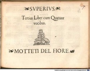Tertius Liber cum Quatuor vocibus. MOTTETI DEL FIORE